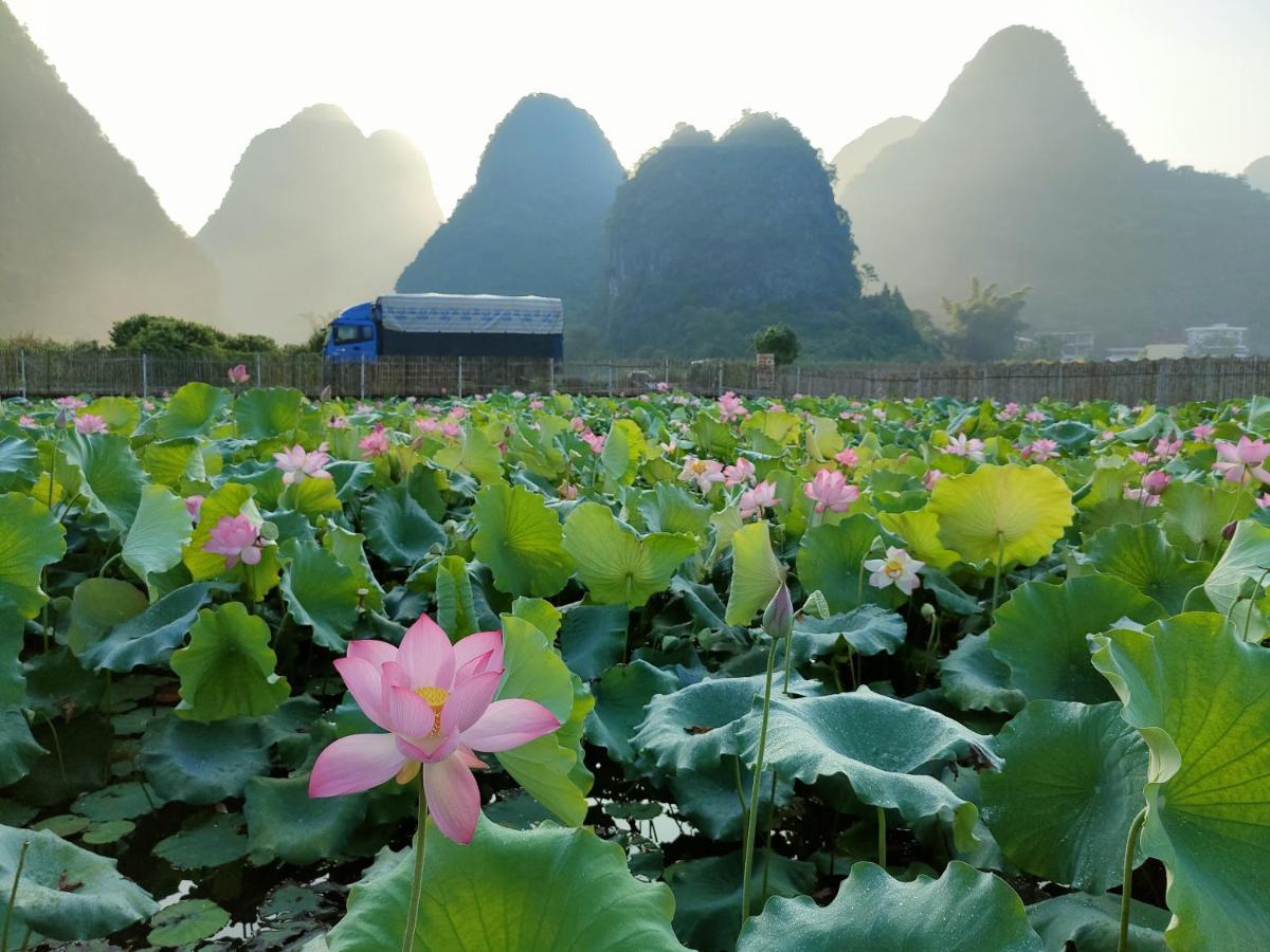 Hostal Yangshuo Tea Cozy--One Way Free Pick Up From Airport Or Ts 4 Nights Exterior foto