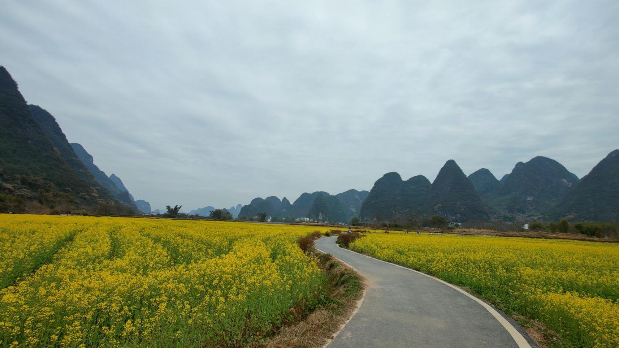 Yangshuo Tea Cozy Hostal Exterior foto